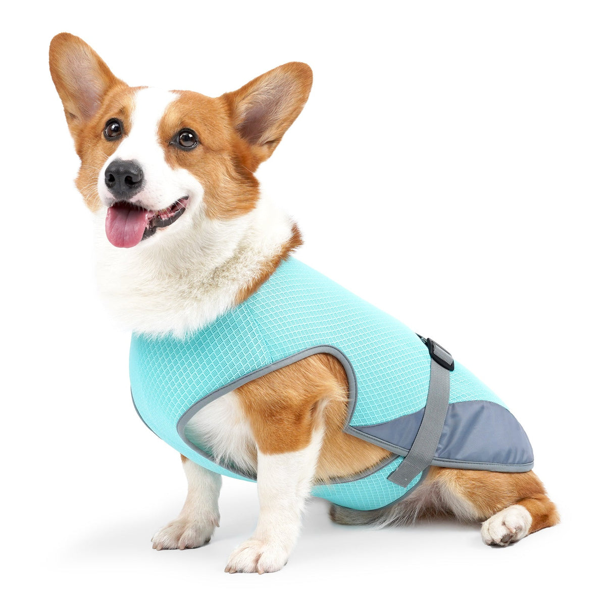 Dog Cooling Vest for Hot Weather – Breathable Summer Harness for Dogs 5–35kg