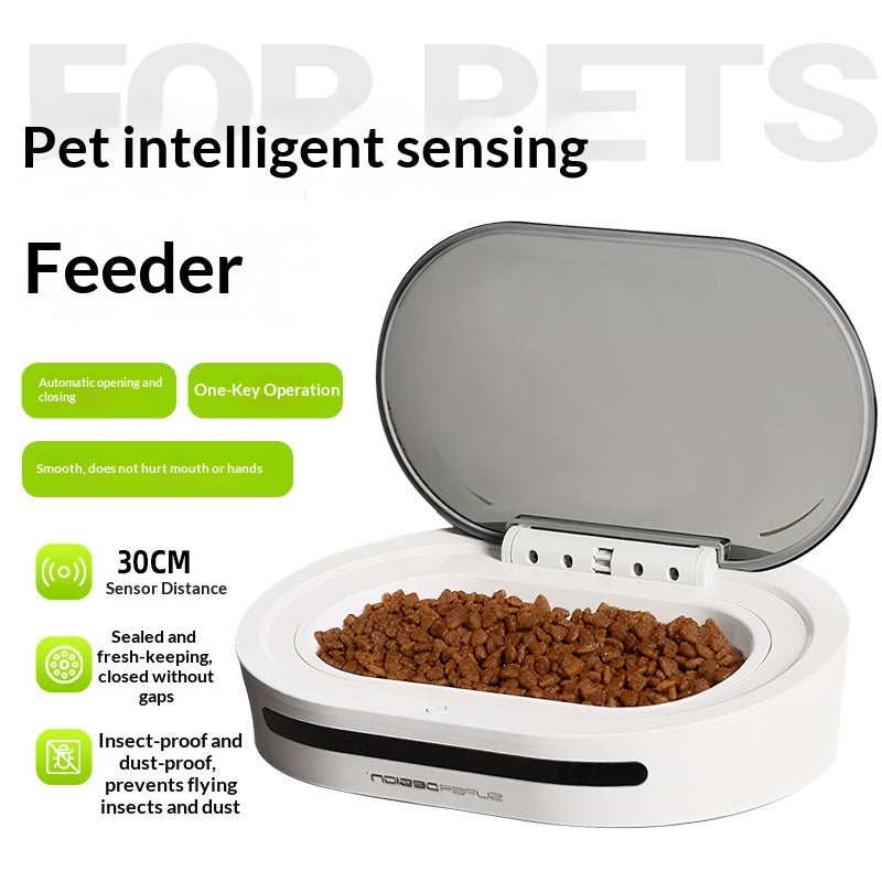 Sensor-Activated Smart Automatic Cat Feeder