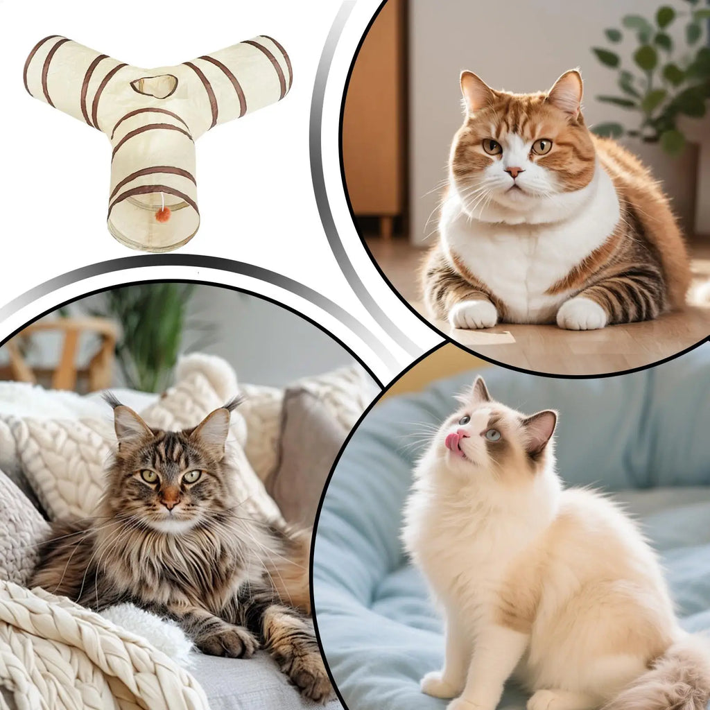 Cat Tubes and Tunnels 3-Way Kitten Tunnel Tube Cat Toys Pet Supplies with Peek Hole Ball for Indoor Kitten Small Animal Rabbit