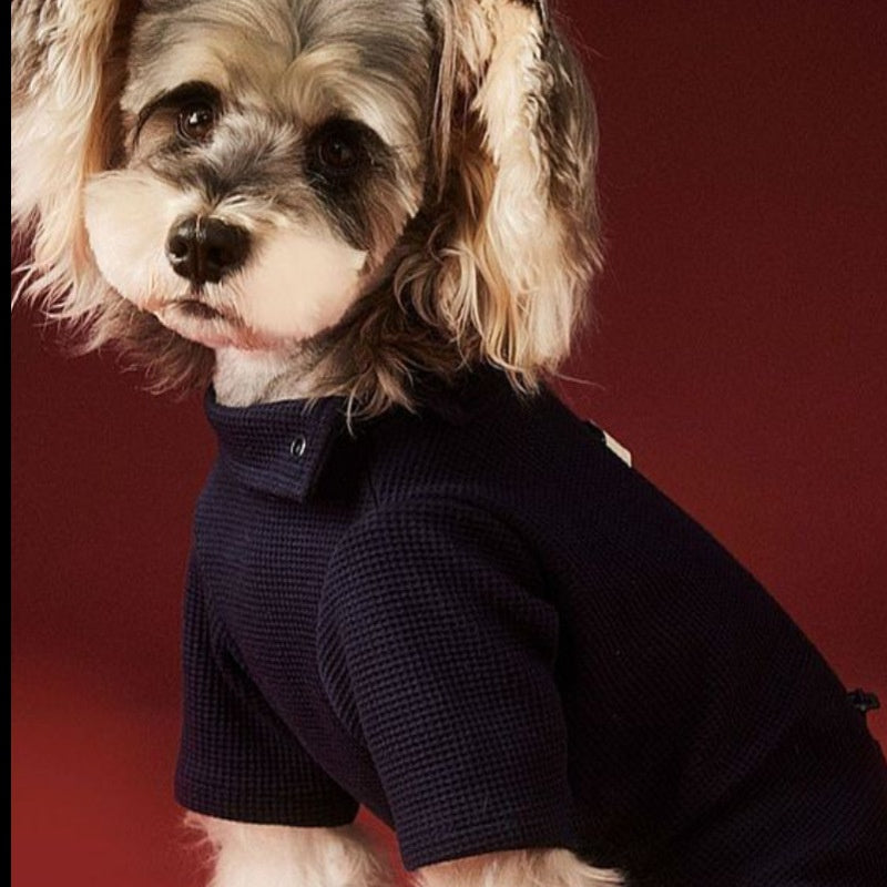 Small Dog Pet Clothes AutumnWinter Four-Leg Base Layer