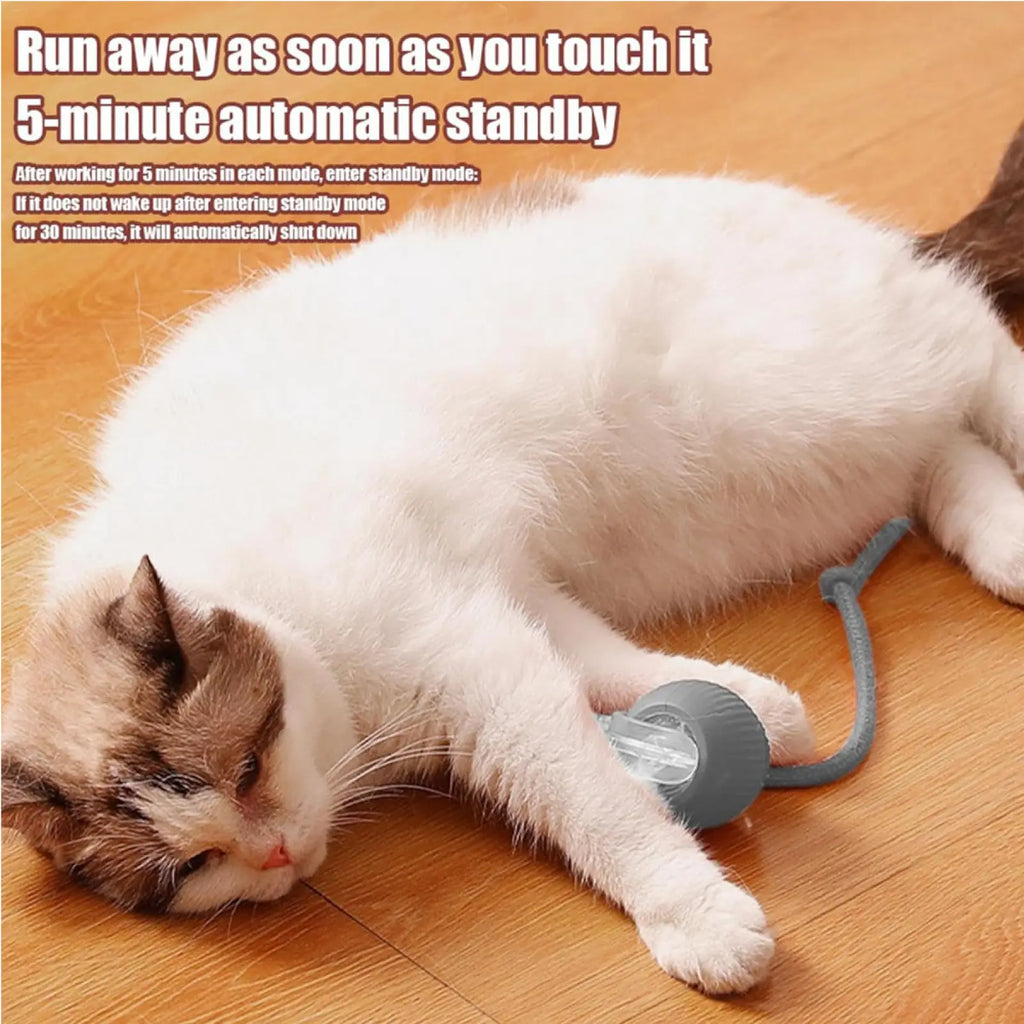 Electric Dog Cat Ball Toy,Indoor Large And Small Cat Dog Interactive Intelligent Rolling Pet Ball