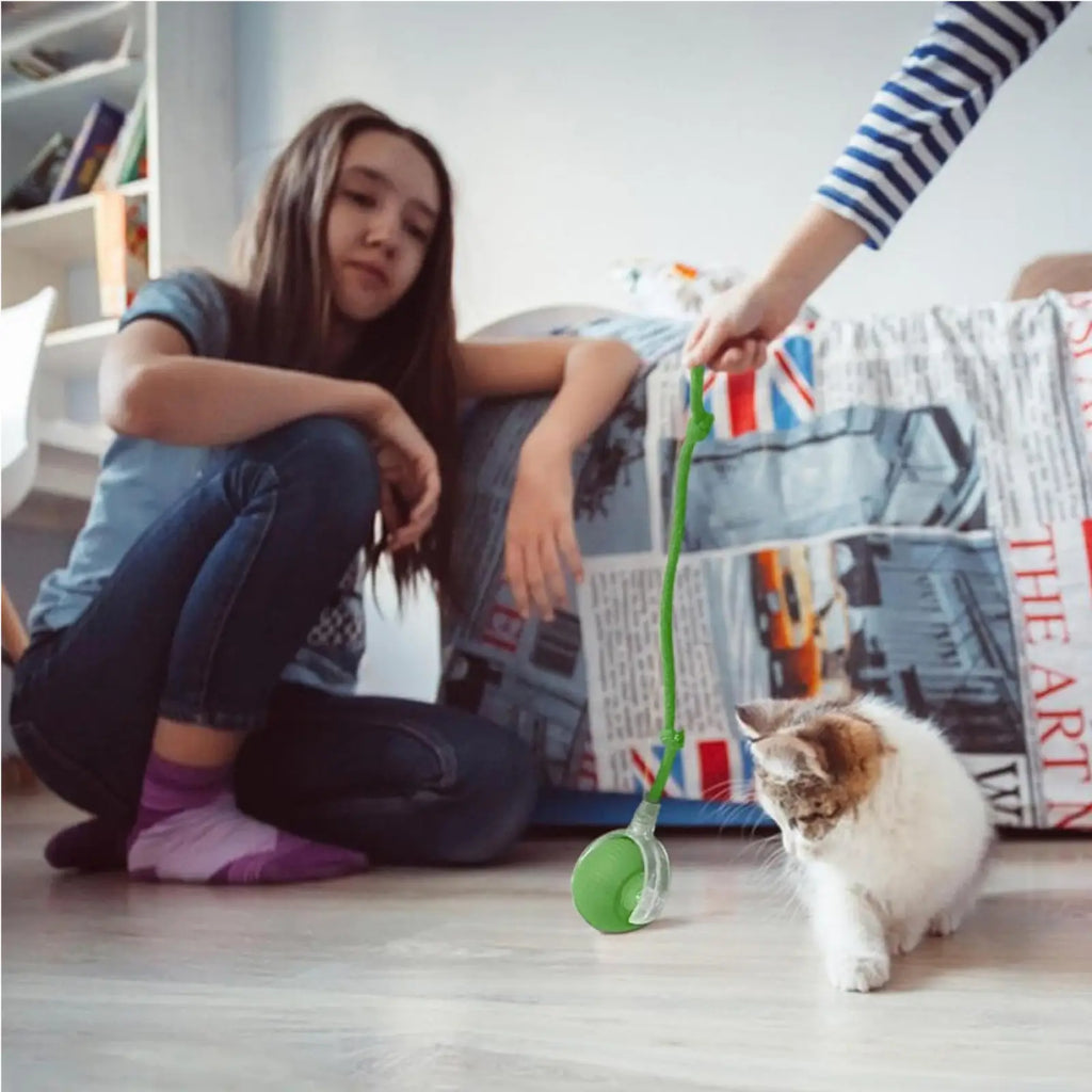 Electric Dog Cat Ball Toy,Indoor Large And Small Cat Dog Interactive Intelligent Rolling Pet Ball